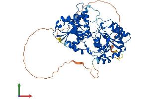 AlphaFold protein structure predicition of Human Recombinant GTDC1 Protein, UniprotID Q4AE62