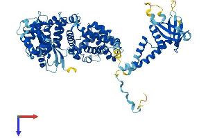 AlphaFold protein structure predicition of Mouse Recombinant Elmo3 Protein, UniprotID Q8BYZ7