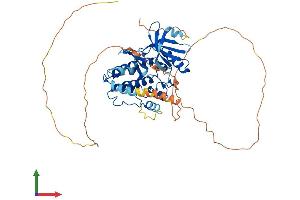 AlphaFold protein structure predicition of Human Recombinant CAMKV Protein, UniprotID Q8NCB2