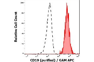 Separation of human CD19 positive lymphocytes (red-filled) from CD19 negative lymphocytes (black-dashed) in flow cytometry analysis (surface staining) of human peripheral whole blood stained using anti-human CD19 (4G7) purified antibody (concentration in sample 3 μg/mL) GAM APC.
