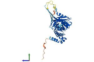 AlphaFold protein structure predicition of Human Recombinant SPOP Protein, UniprotID O43791