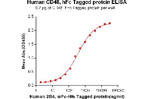 ELISA plate pre-coated by 2 μg/mL (100 μL/well) Human 2B4, mFc-His tagged protein (ABIN6961083) can bind Human CD48, hFc tagged protein (ABIN6961161) in a linear range of 31. (CD48 Protein (CD48) (Fc Tag))