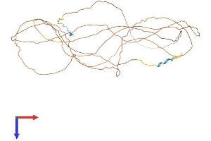 AlphaFold protein structure predicition of Mouse Recombinant Loricrin Protein, UniprotID P18165