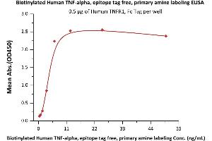 Immobilized Human TNFR1, Fc Tag (ABIN2181840,ABIN2181839) at 5 μg/mL (100 μL/well) can bind Biotinylated Human , epitope tag free, primary amine labeling (active trimer) (MALS verified) (ABIN2181834,ABIN2181833) with a linear range of 0.