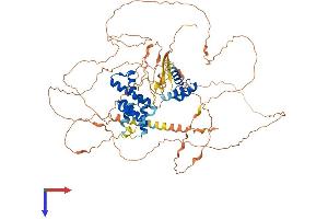 AlphaFold protein structure predicition of Mouse Recombinant Six5 Protein, UniprotID P70178