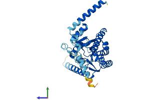 AlphaFold protein structure predicition of Mouse Recombinant Rdh10 Protein, UniprotID Q8VCH7