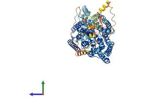 AlphaFold protein structure predicition of Mouse Recombinant Slc5a3 Protein, UniprotID Q9JKZ2