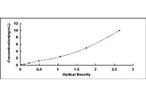 Typical standard curve (COL8A1 Kit ELISA)