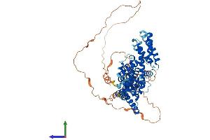 AlphaFold protein structure predicition of Mouse Recombinant Tcp11 Protein, UniprotID Q01755