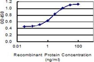 Detection limit for recombinant GST tagged SPAG16 is 0.
