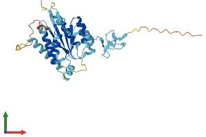 AlphaFold protein structure predicition of Mouse Recombinant Gtf2h3 Protein, UniprotID Q8VD76