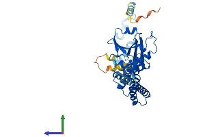 AlphaFold protein structure predicition of Human Recombinant TTC4 Protein, UniprotID O95801