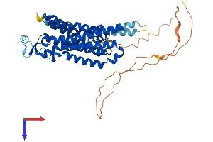 Adenosine A2a Receptor (ADORA2A) (AA 1-412) protein (His tag)