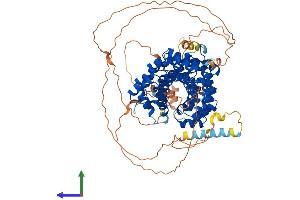 AlphaFold protein structure predicition of Mouse Recombinant Pkp3 Protein, UniprotID Q9QY23