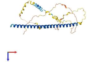 AlphaFold protein structure predicition of Mouse Recombinant Atf5 Protein, UniprotID O70191