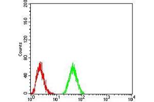 Flow cytometric analysis of K562 cells using DNMT3B mouse mAb (green) and negative control (red).