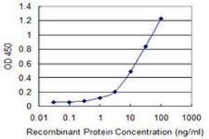 Detection limit for recombinant GST tagged CRY1 is 0. (CRY1 anticorps  (AA 1-586))