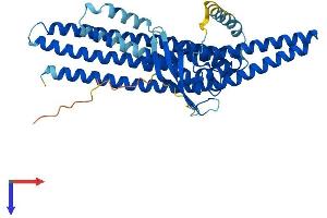 AlphaFold protein structure predicition of Mouse Recombinant Snx6 Protein, UniprotID Q6P8X1