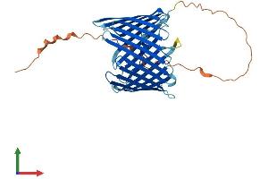 AlphaFold protein structure predicition of Mouse Recombinant Tomm40 Protein, UniprotID Q9QYA2