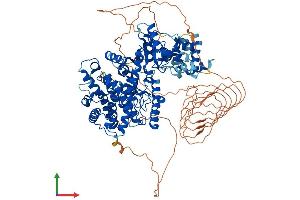 AlphaFold protein structure predicition of Human Recombinant FAM120B Protein, UniprotID Q96EK7