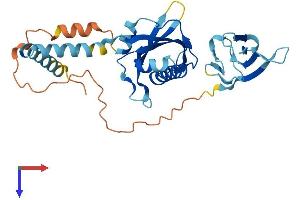 AlphaFold protein structure predicition of Human Recombinant PIH1D2 Protein, UniprotID Q8WWB5