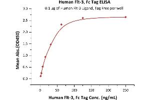Immobilized Human Flt-3 Ligand, Tag Free (ABIN2181107,ABIN3071731,ABIN2693588) at 1 μg/mL (100 μL/well) can bind Human Flt-3, Fc Tag (ABIN6731308,ABIN6809860) with a linear range of 2-31 ng/mL (QC tested).