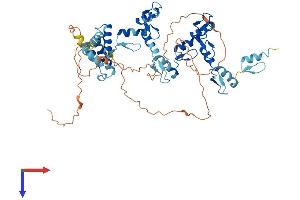 AlphaFold protein structure predicition of Human Recombinant ZNF397 Protein, UniprotID Q8NF99