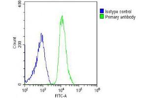 Overlay histogram showing U-2OS cells stained with Antibody (green line). (SH3PXD2B anticorps  (AA 596-628))