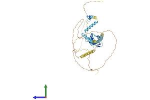 AlphaFold protein structure predicition of Human Recombinant UPF3A Protein, UniprotID Q9H1J1