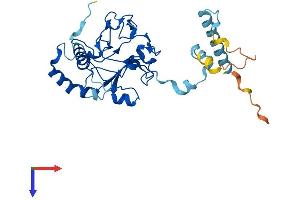 AlphaFold protein structure predicition of Human Recombinant FAM221A Protein, UniprotID A4D161