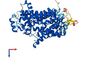 AlphaFold protein structure predicition of Human Recombinant PIGV Protein, UniprotID Q9NUD9