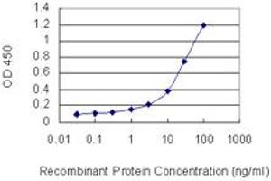 Detection limit for recombinant GST tagged NXPH3 is 0. (NXPH3 anticorps  (AA 1-252))