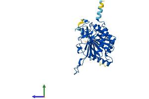 AlphaFold protein structure predicition of Mouse Recombinant Galt Protein, UniprotID Q03249