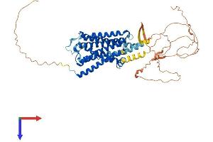 AlphaFold protein structure predicition of Human Recombinant ADRA1B Protein, UniprotID P35368