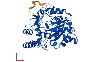 AlphaFold protein structure predicition of Mouse Recombinant Sult1c2 Protein, UniprotID Q9D939