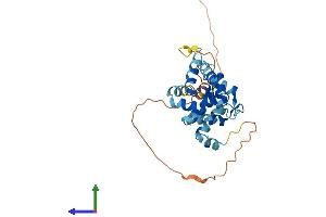 AlphaFold protein structure predicition of Mouse Recombinant Kcnip2 Protein, UniprotID Q9JJ69