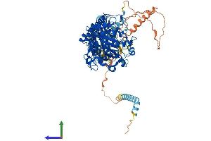 AlphaFold protein structure predicition of Mouse Recombinant Tyw1 Protein, UniprotID Q8BJM7