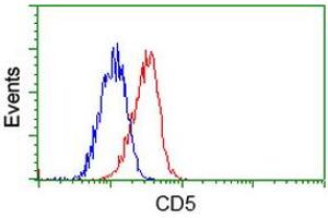 Flow cytometric Analysis of Jurkat cells, using anti-CD5 antibody (ABIN2452892), (Red), compared to a nonspecific negative control antibody (ABIN2452892), (Blue). (CD5 anticorps)