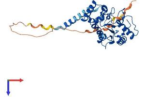 AlphaFold protein structure predicition of Human Recombinant UNG Protein, UniprotID P13051