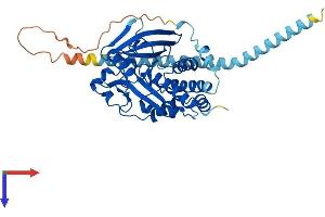 AlphaFold protein structure predicition of Human Recombinant PTPN2 Protein, UniprotID P17706
