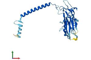 AlphaFold protein structure predicition of Human Recombinant ATP1B3 Protein, UniprotID P54709