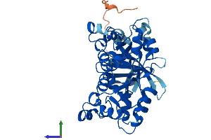 AlphaFold protein structure predicition of Mouse Recombinant Nme7 Protein, UniprotID Q9QXL8