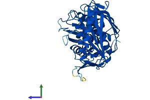 AlphaFold protein structure predicition of Human Recombinant RTCA Protein, UniprotID O00442