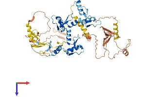 AlphaFold protein structure predicition of Human Recombinant ZNF76 Protein, UniprotID P36508
