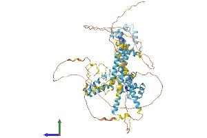 AlphaFold protein structure predicition of Human Recombinant SUGP1 Protein, UniprotID Q8IWZ8
