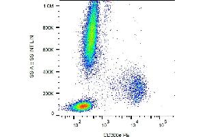 Flow cytometry analysis (surface staining) of human peripheral blood with anti-human CD300e (UP-H2) PE. (CD300E anticorps  (PE))