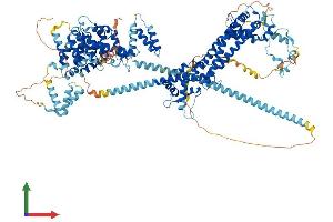 AlphaFold protein structure predicition of Human Recombinant DAAM1 Protein, UniprotID Q9Y4D1
