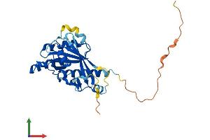 AlphaFold protein structure predicition of Mouse Recombinant Rab36 Protein, UniprotID Q8CAM5
