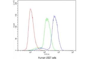 Flow cytometry testing of human U937 cells with SSH3BP1 antibody at 1ug/10^6 cells (blocked with goat sera) (ABI1 anticorps)