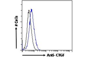ABIN6391344 Flow cytometric analysis of paraformaldehyde fixed HepG2 cells (blue line), permeabilized with 0. (CTGF anticorps  (Internal Region))